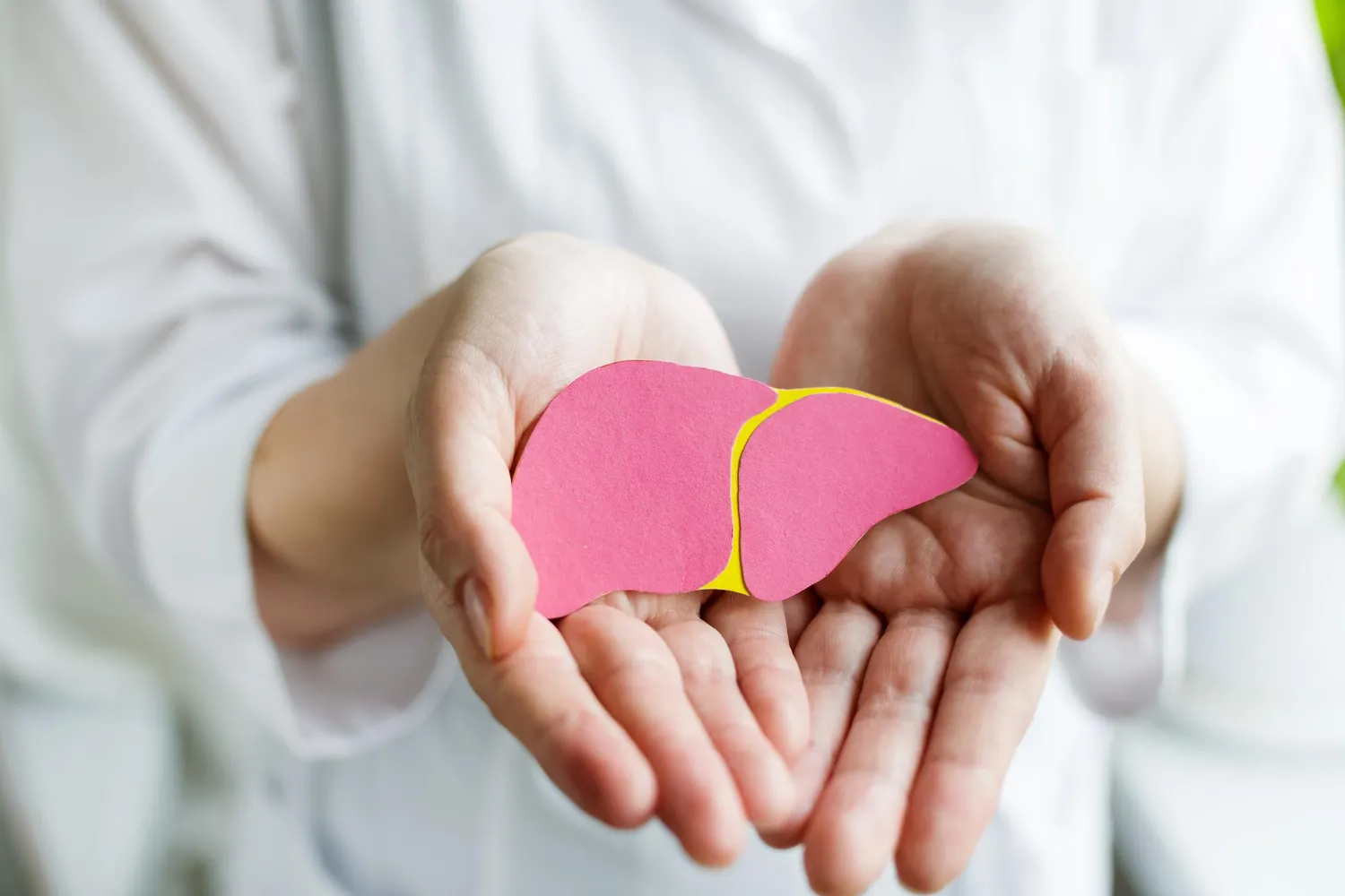 fatty liver inner image